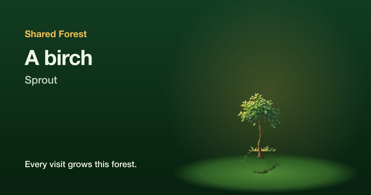 An illustrated birch, sprout, with the name Shared Forest