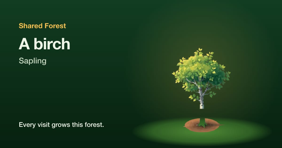 An illustrated birch, sapling, with the name Shared Forest