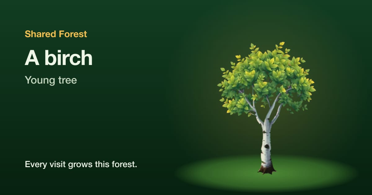 An illustrated birch, young tree, with the name Shared Forest