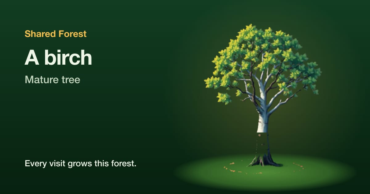 An illustrated birch, mature tree, with the name Shared Forest