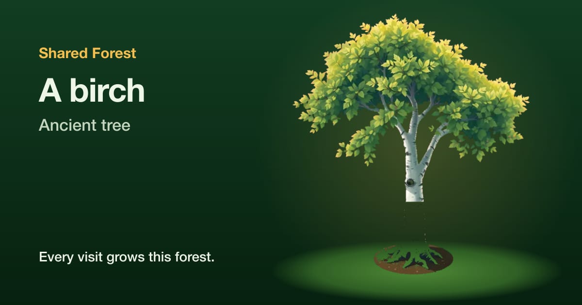 An illustrated birch, ancient tree, with the name Shared Forest