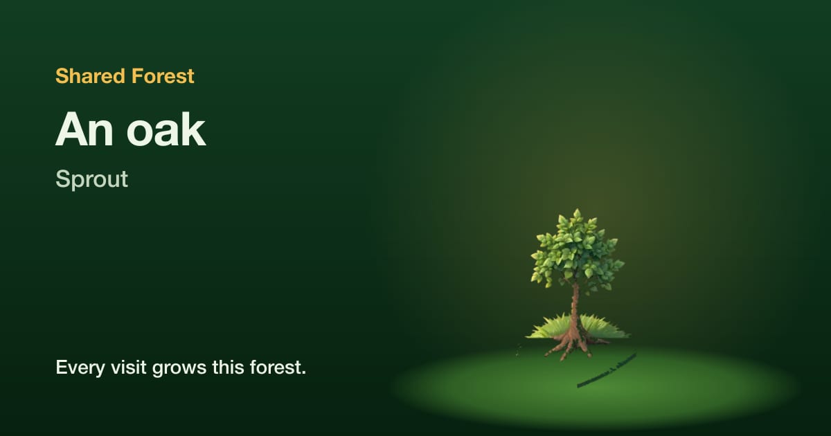 An illustrated oak, sprout, with the name Shared Forest