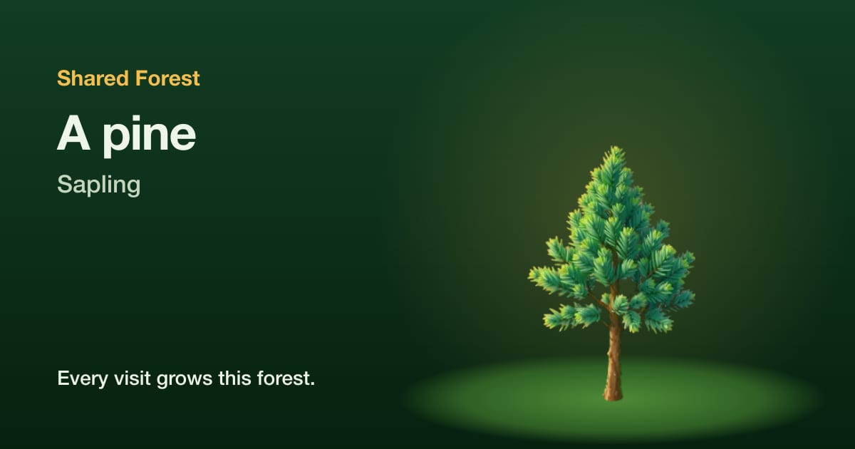 An illustrated pine, sapling, with the name Shared Forest