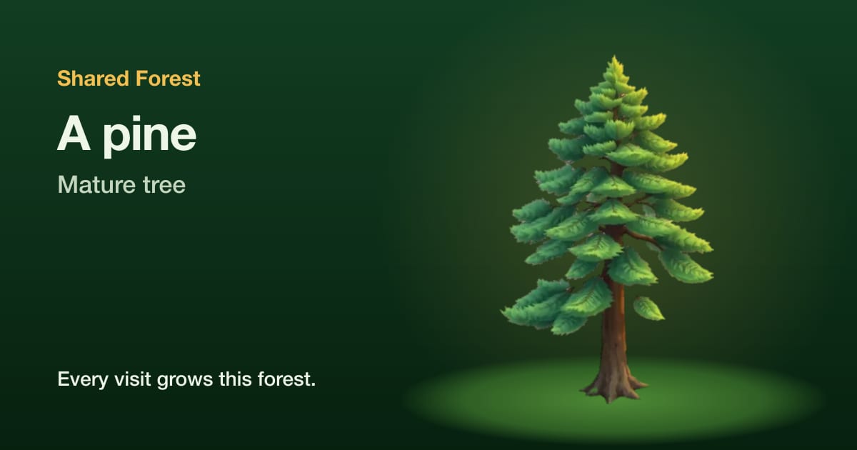 An illustrated pine, mature tree, with the name Shared Forest