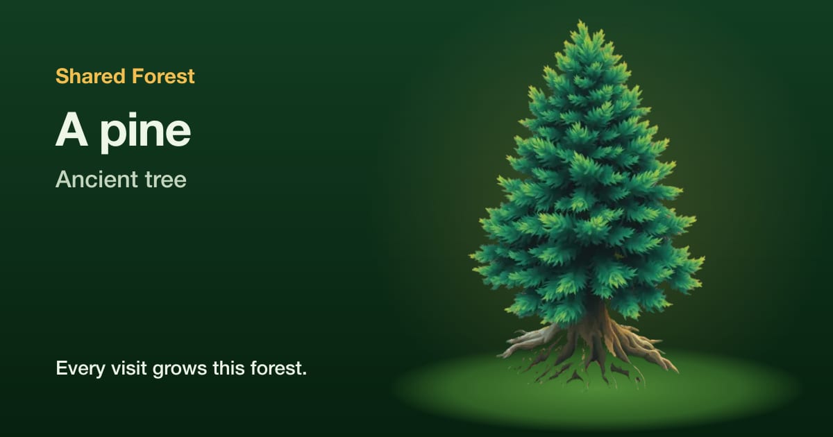 An illustrated pine, ancient tree, with the name Shared Forest
